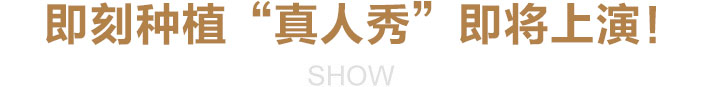 即刻种植“真人秀”即将上演