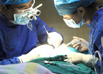 进行微创种植牙手术